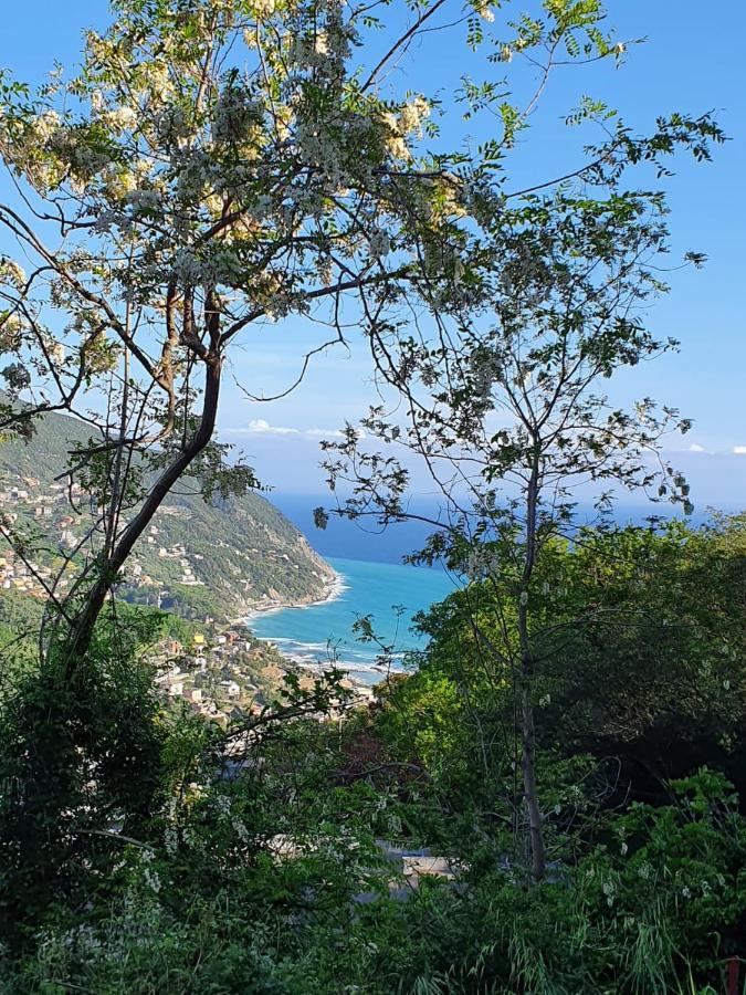 Cà Zelinda House Holiday Moneglia Esterno foto